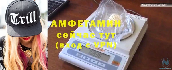 амф Балахна