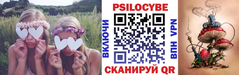 купить наркоту Никольск Галлюциногенные грибы прущие грибы